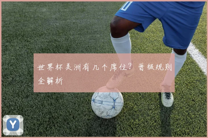 世界杯美洲有几个席位？晋级规则全解析