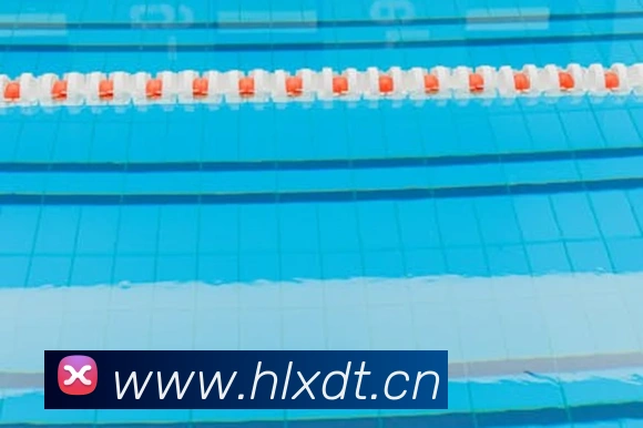 App Interface Preview